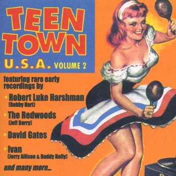 V.A. - Teen Town U.S.A. : Vol 2